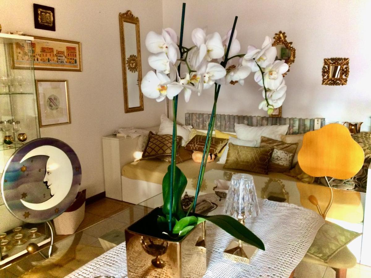 Da Coco E Mini,L'Angolo Per Ceramiste In Viaggio - Faenza Exterior photo